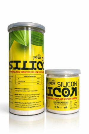 Silicon