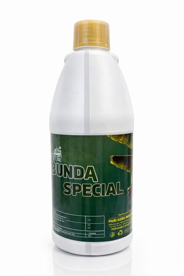 Bunda Special