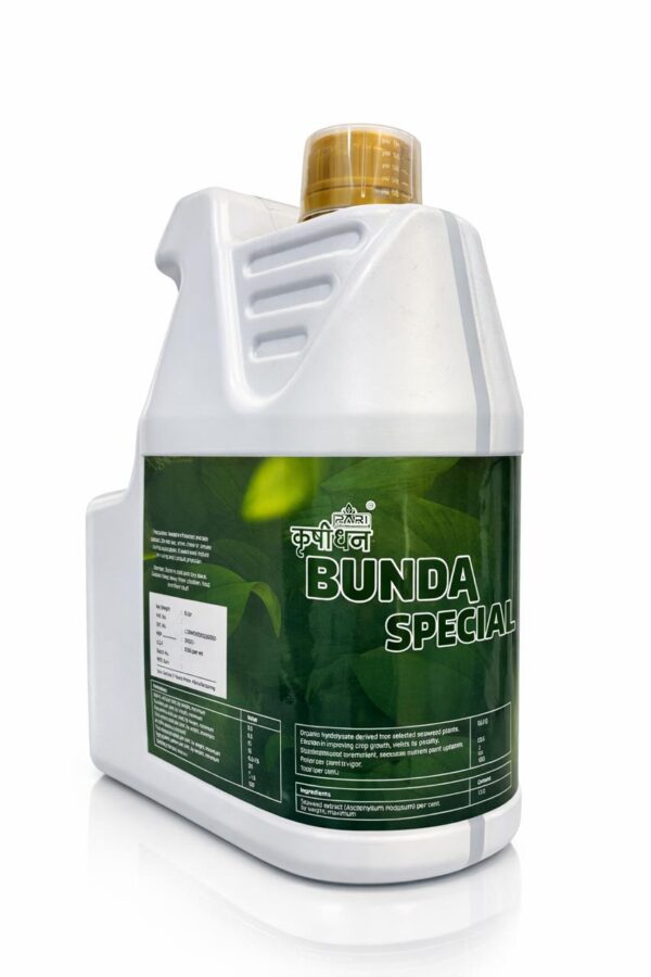 Bunda Special