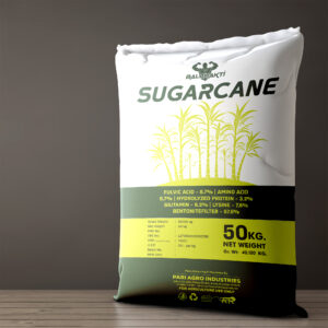 SUGARCANE