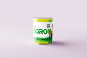 Boron